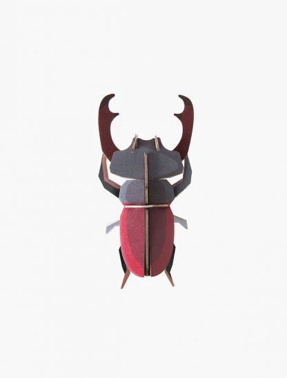 Decoration-murale-scarabee-stag-studio-roof
