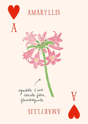 Jeu de Cartes - Les Fleurs par Zoé de Las Cases - Hachette