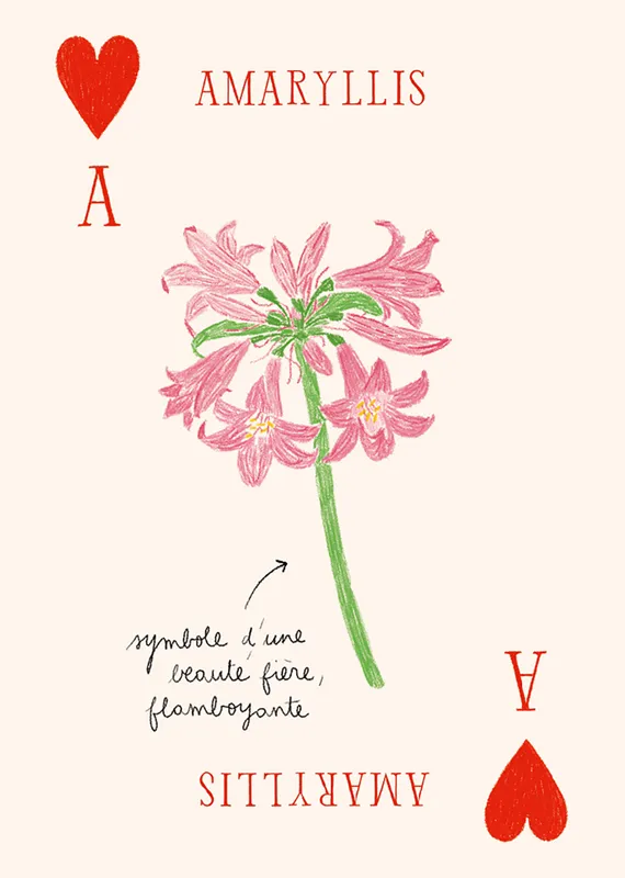 Jeu de Cartes - Les Fleurs par Zoé de Las Cases - Hachette