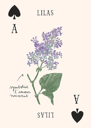 Jeu de Cartes - Les Fleurs par Zoé de Las Cases - Hachette