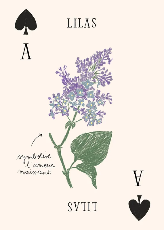 Jeu de Cartes - Les Fleurs par Zoé de Las Cases - Hachette