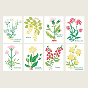 Cartes à peindre par numéros - Cueillettes - Salut Irène - La Boite à bonheur