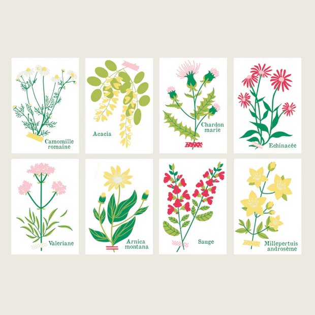 Cartes à peindre par numéros - Cueillettes - Salut Irène - La Boite à bonheur