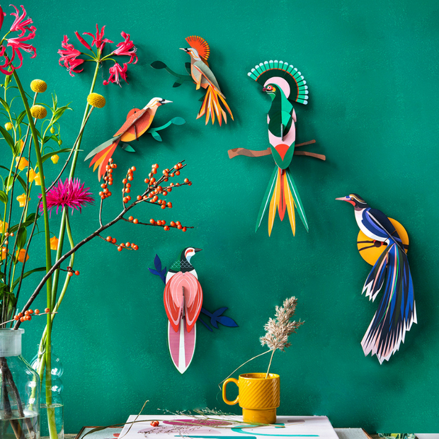 Décoration Murale Oiseau de Paradis "Obi" - La Boite à Bonheur 
