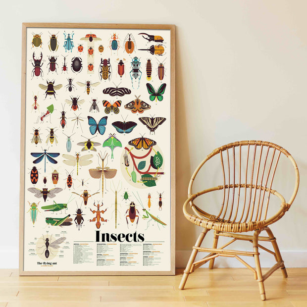 Poster Stickers Insectes Poppik - La Boite à Bonheur 