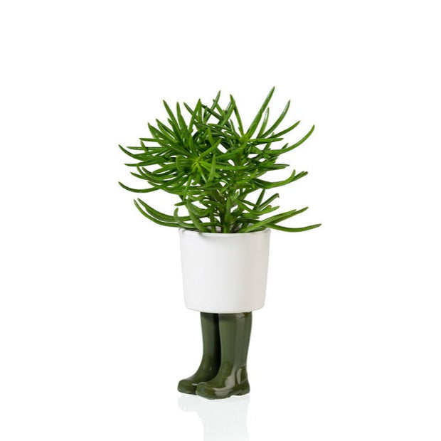cache-pot bottes de pluie wellington BITTEN - La Boite à Bonheur