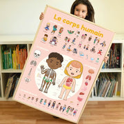 poster stickers corps humain poppik