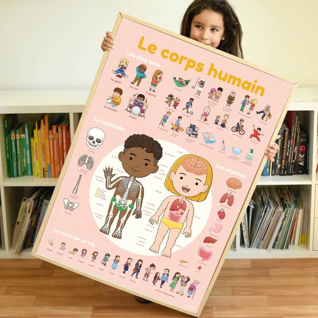 poster stickers corps humain poppik